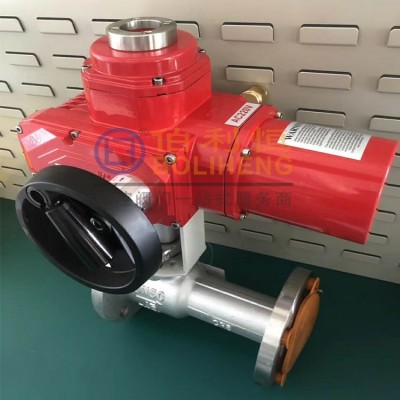 CT6防爆电动执行器BLH-EX60P,BLH-EX20P