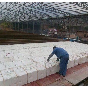 电厂硅酸铝耐高温1000隔热材料硅酸铝棉块含锆陶瓷纤维模块