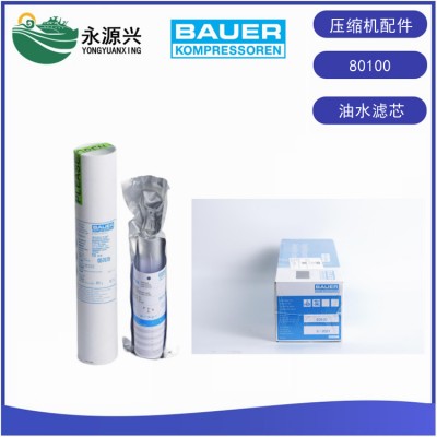 德国进口宝华BAUER滤芯宝华80100油水过滤芯P31滤芯