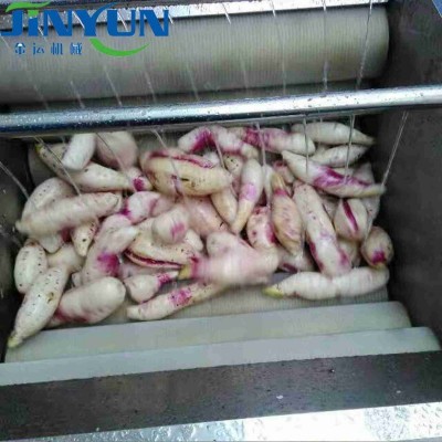 自动果蔬磨皮机 大葱去皮清洗机 红枣去杂清洗机
