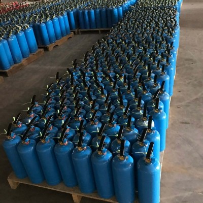 ✨香岛一氧化碳捕获器手提便携式（化学吸附、催化法清除率优）