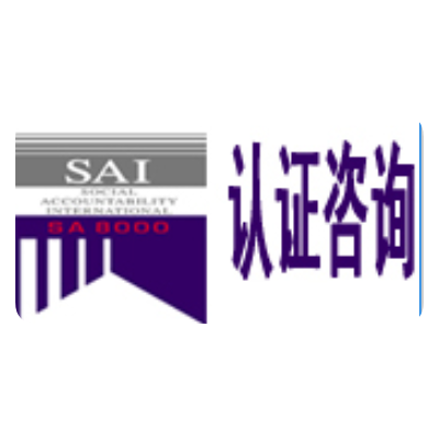 SA8000的主要内容/步骤/方法