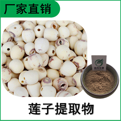 森冉生物 莲子提取物 莲实提取物 比例提取原料粉