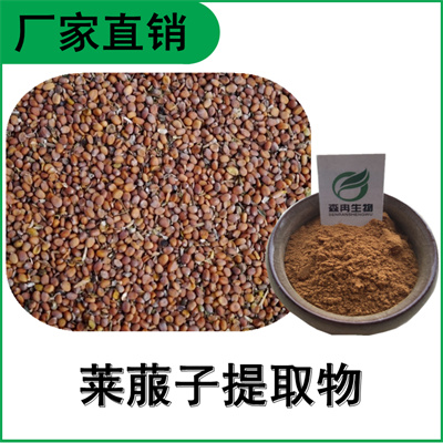 森冉生物 莱菔子提取物 萝卜子提取物 比例提取原料粉